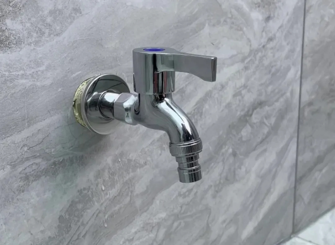 20240517_144858_006.jpg 20240517_144858_006.jpg