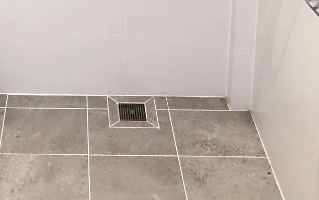 20240517_144858_010.jpg 20240517_144858_010.jpg